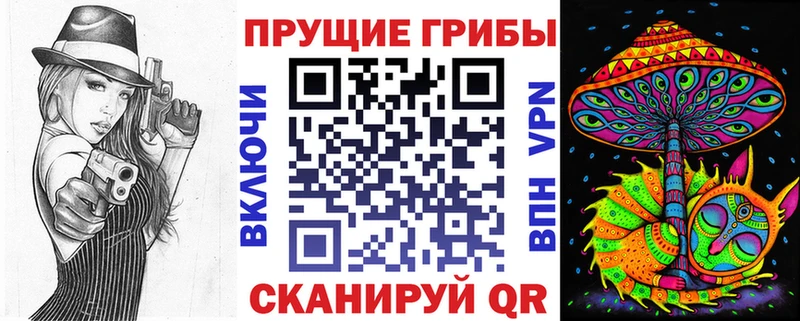 Галлюциногенные грибы Psilocybine cubensis  MEGA сайт  Неман 